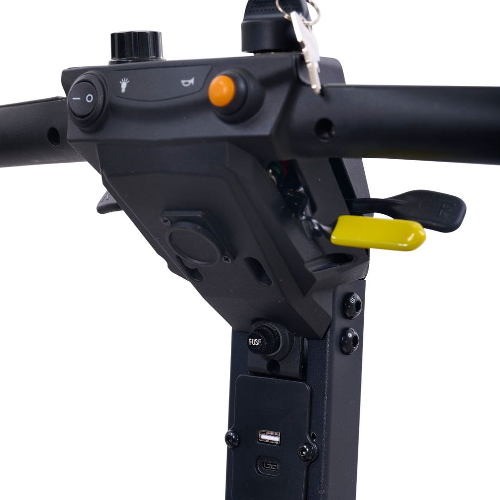 Golden Buzzaround CarryOn HD