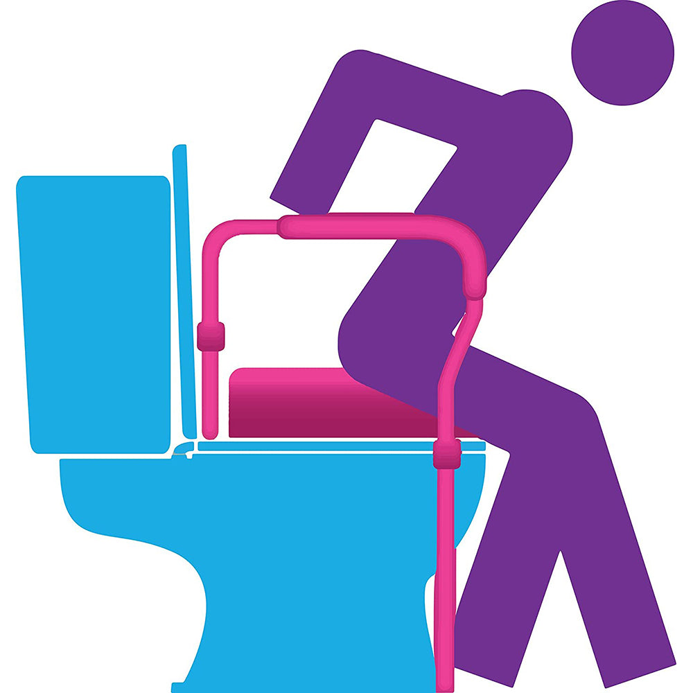 Nova Toilet Safety Rails