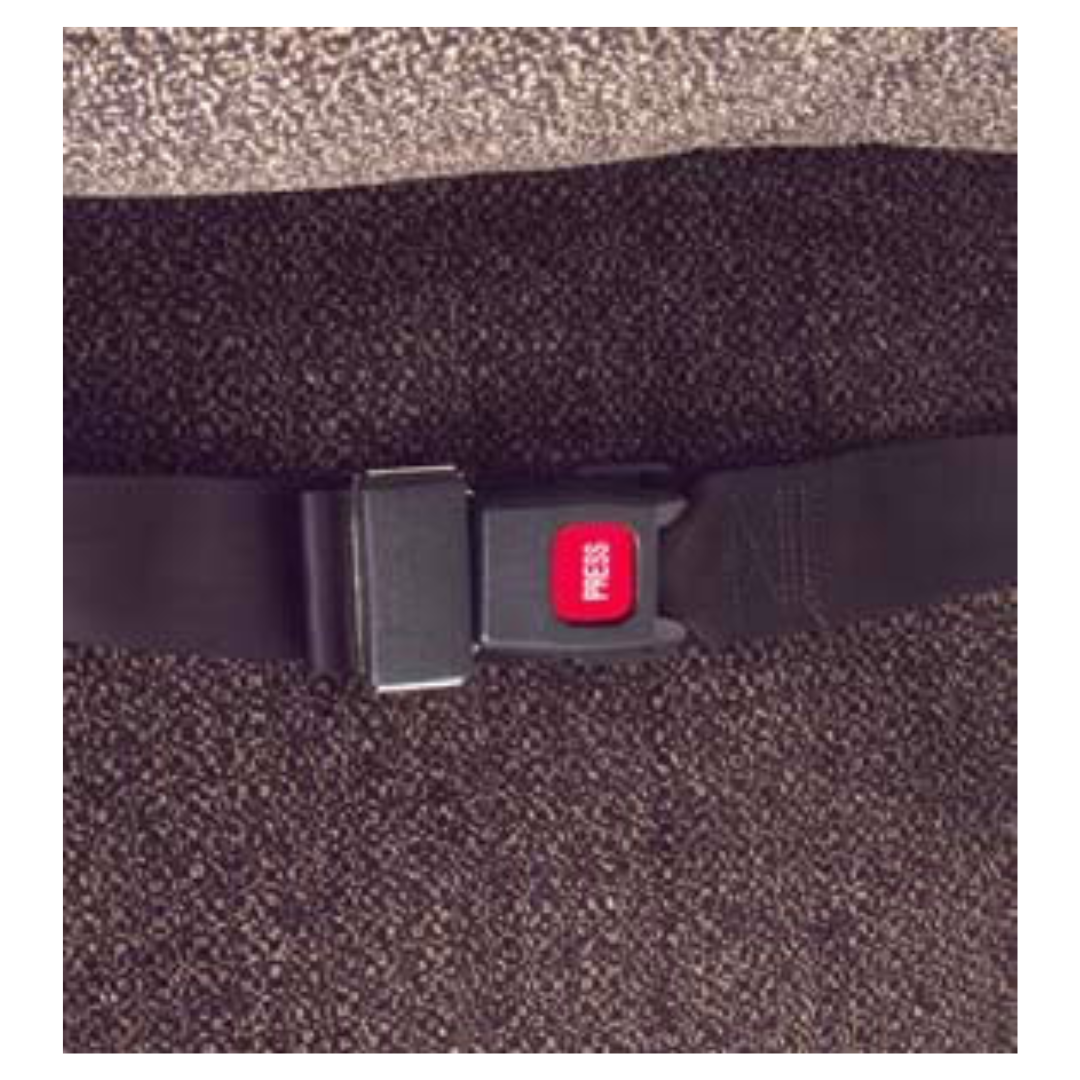 Golden Seat Belt-60"