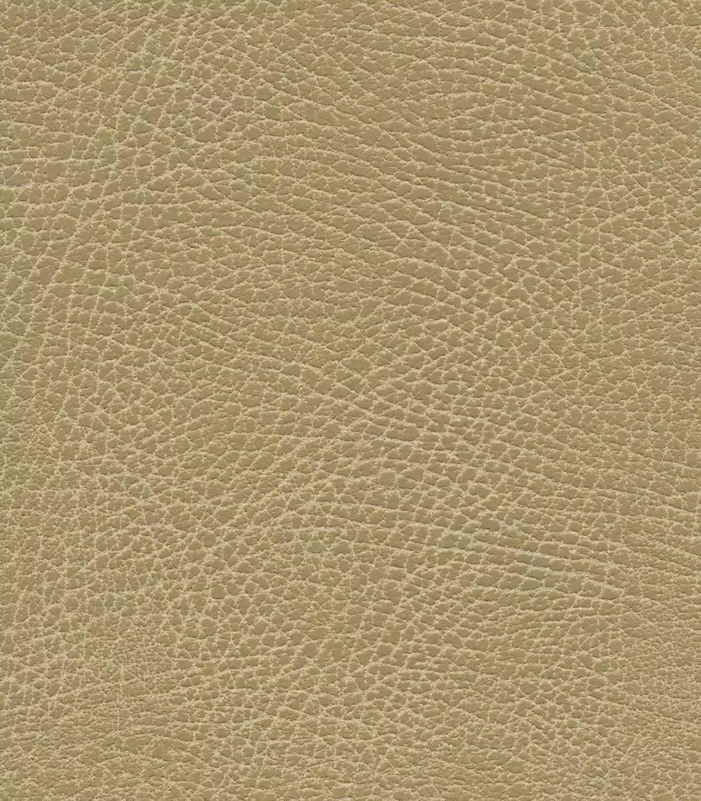 Goldentech Brisa Fabric Upgrade Options