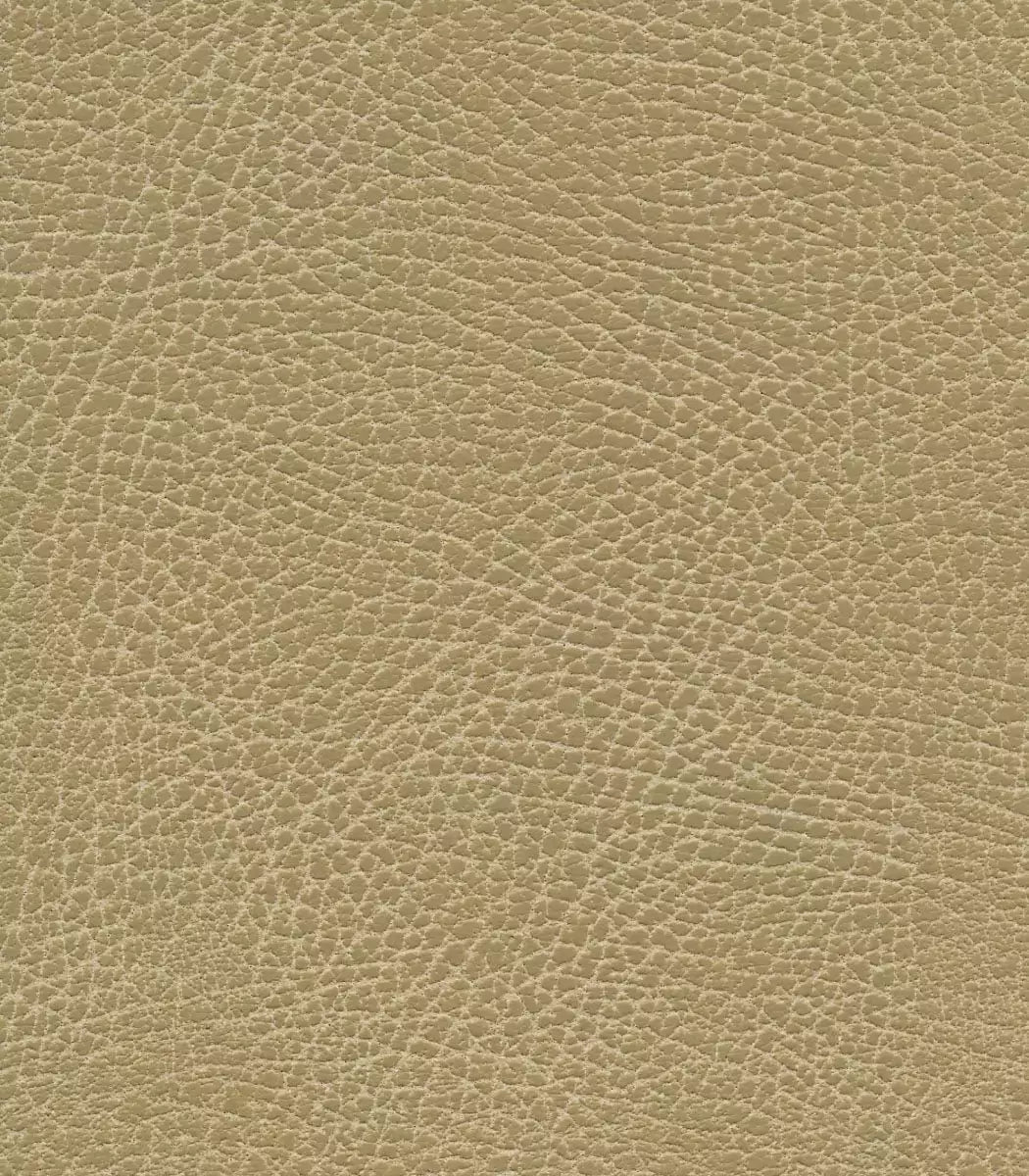 Goldentech Brisa Fabric Upgrade Options