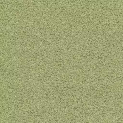 Goldentech Brisa Fabric Upgrade Options