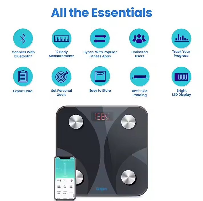 Electronic Digital Scale