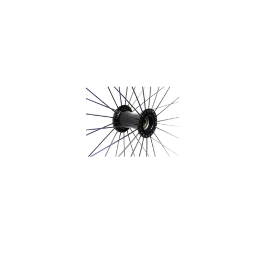 Rolko 24x1" Perigon Spoked Wheel