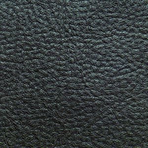 Goldentech PR761 EZ Sleeper with Twilight